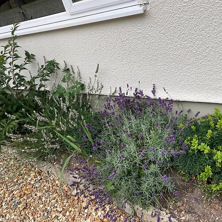 Woodland House B & B Wimborne Minster Exterior foto